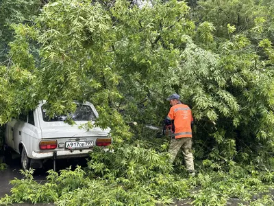 Россиянам рассказали, как действовать, если машину поцарапали коммунальщики
