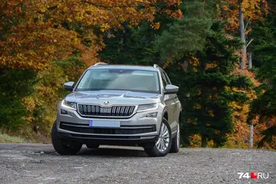 «Требуют теперь 1,5 млн». За ввоз Skoda, Kia и Hyundai из Казахстана таможня выставила счета задним числом