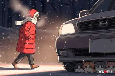 Завел машину — стал убийцей и живодером: эксперты рассказали, как избежать трагедии при прогреве двигателя в Волгограде