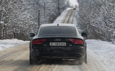 С пропиской и без учета в ГАИ. Чем опасна киргизская схема покупки машин